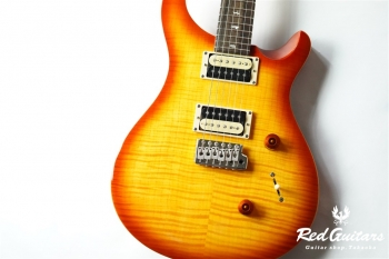  SE Custom 24 - VS